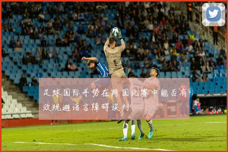 足球国际手势在跨国比赛中能否有效规避语言障碍误判