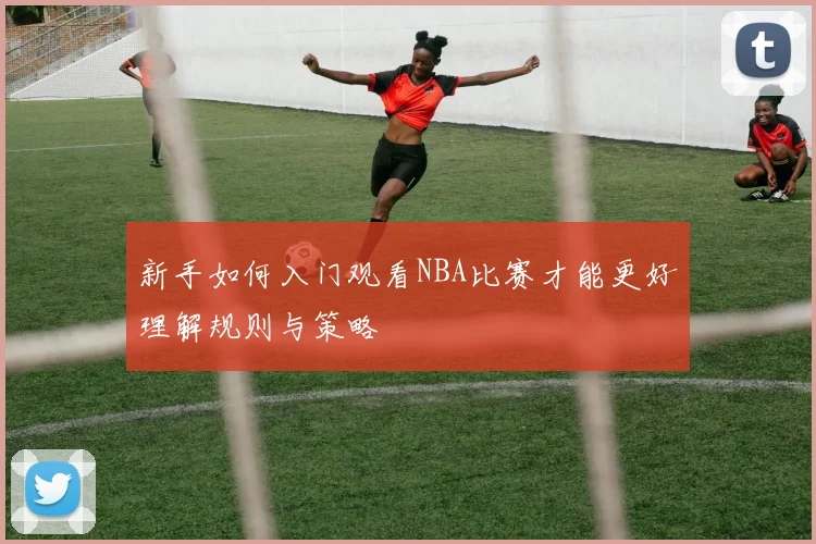 新手如何入门观看NBA比赛才能更好理解规则与策略