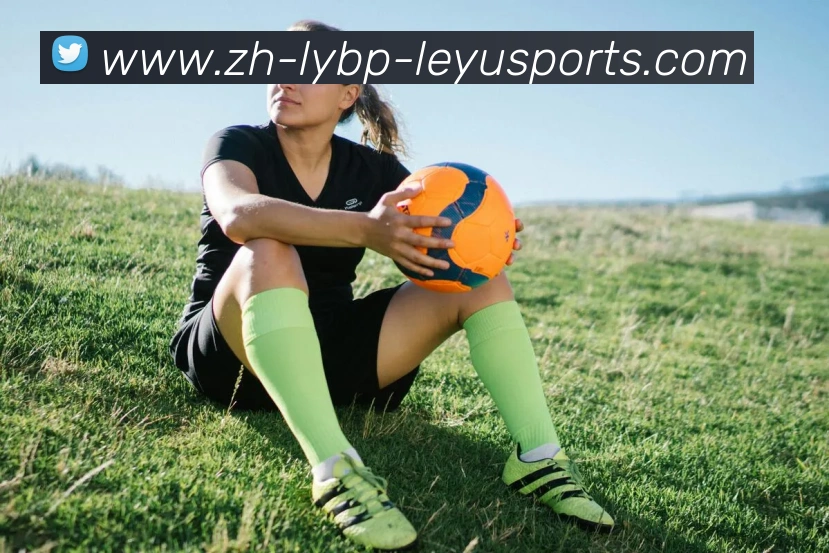 乐鱼体育品牌故事